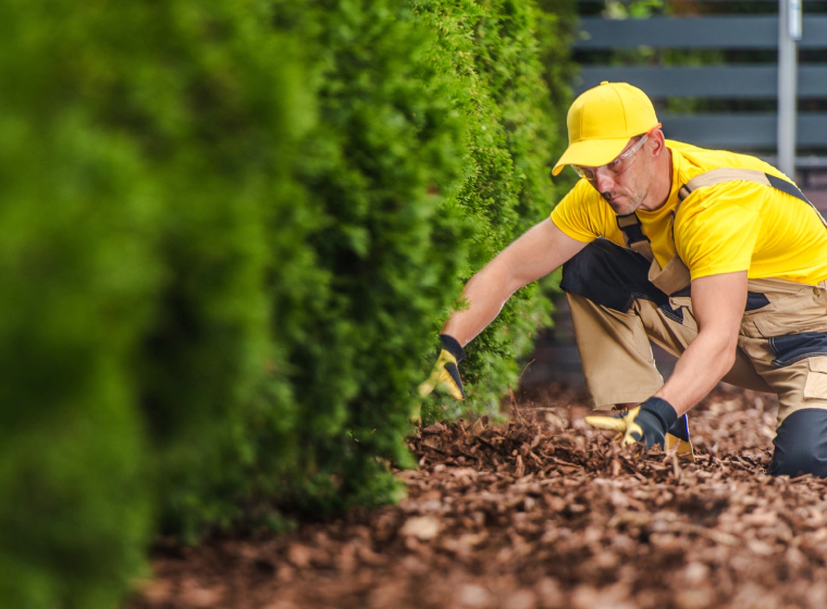 Mulch Services and Supplier